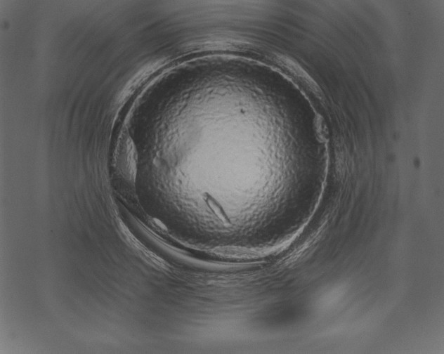 X0000070190938200605301309