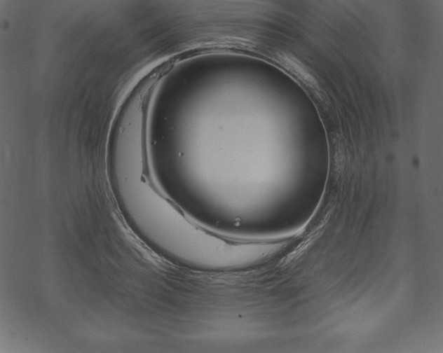 X0000070190940200605301309