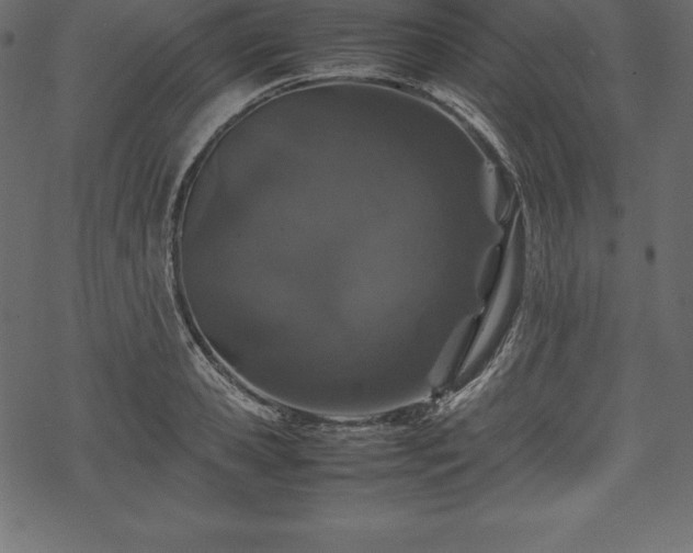 X0000070190941200605301309