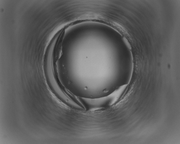 X0000070190942200605301309