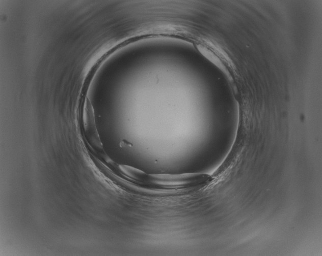 X0000070190944200605301309