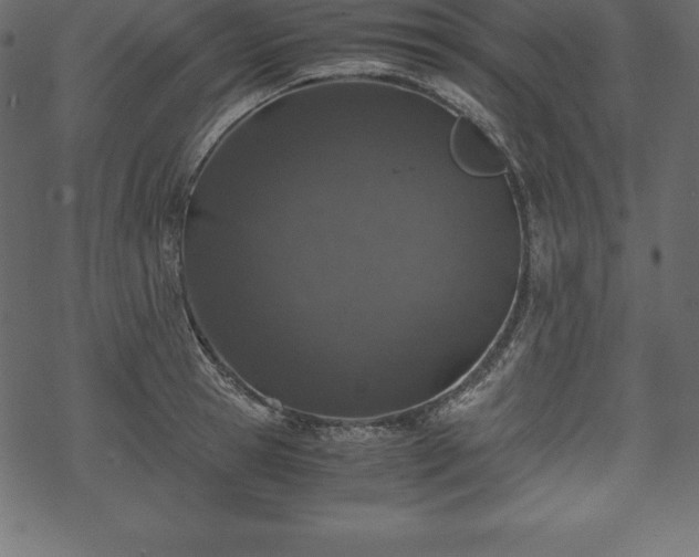 X0000070190945200605301309