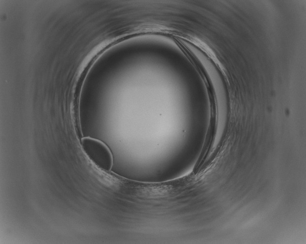 X0000070190947200605301309