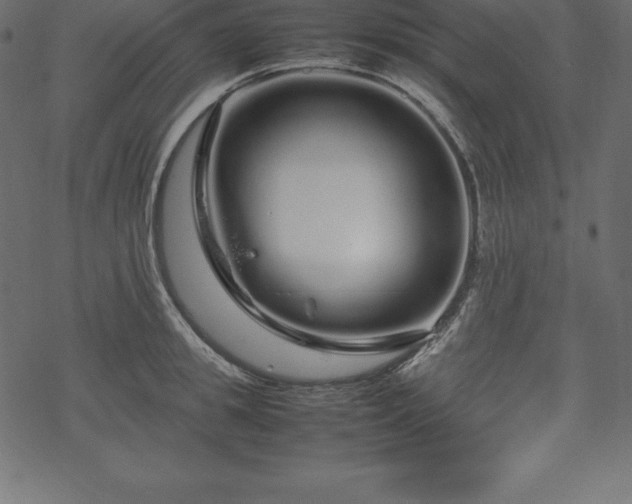 X0000070190949200605301309