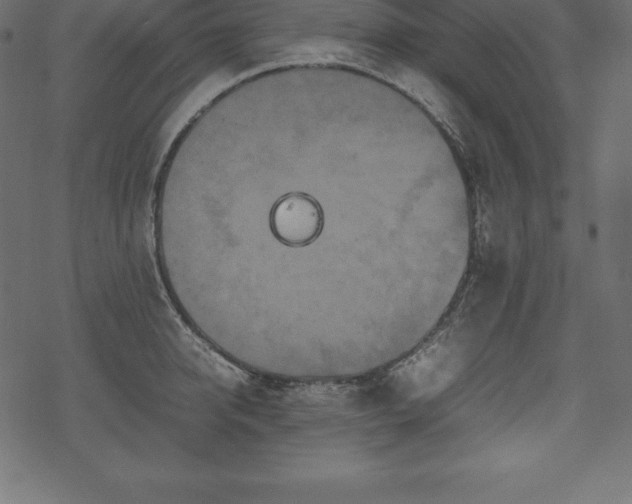 X0000070190950200605301309