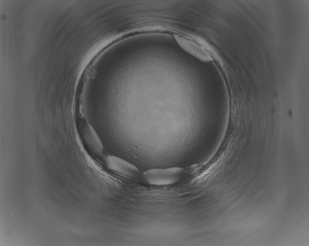 X0000070190951200605301309