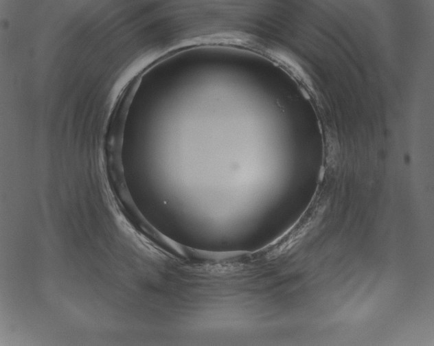 X0000070190952200605301309