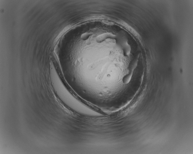 X0000070190953200605301309