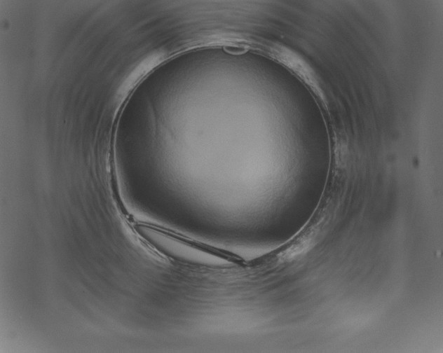 X0000070190954200605301309