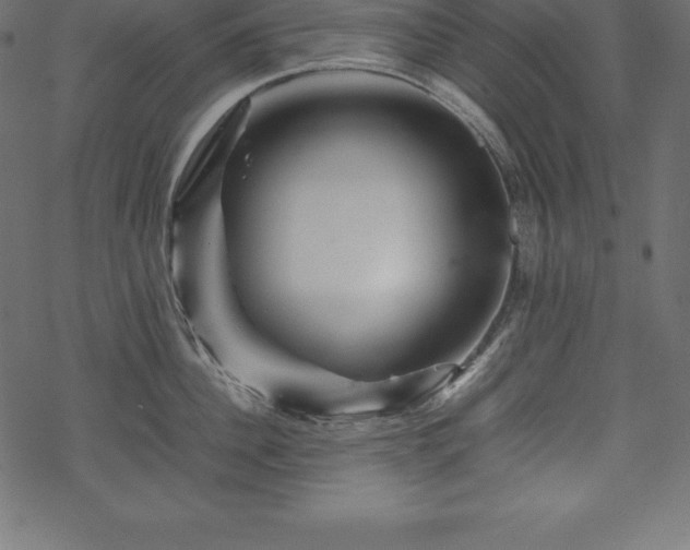 X0000070190956200605301309