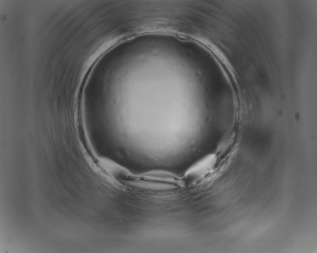 X0000070190957200605301309