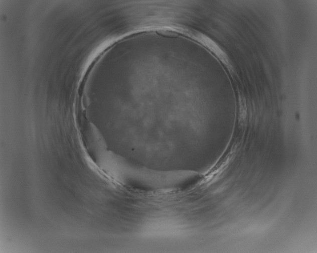 X0000070190958200605301309