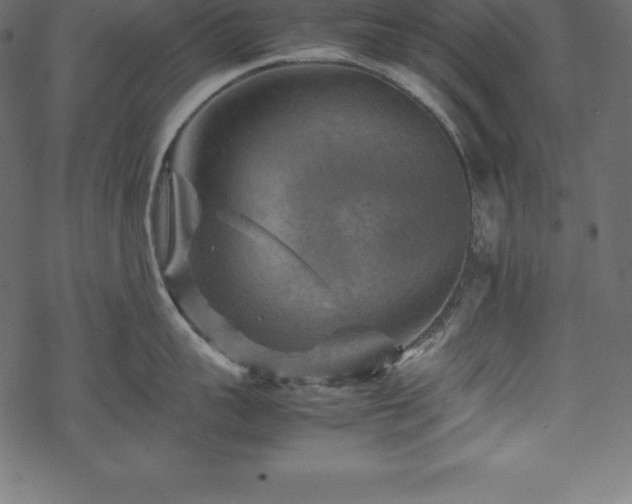 X0000070190959200605301309