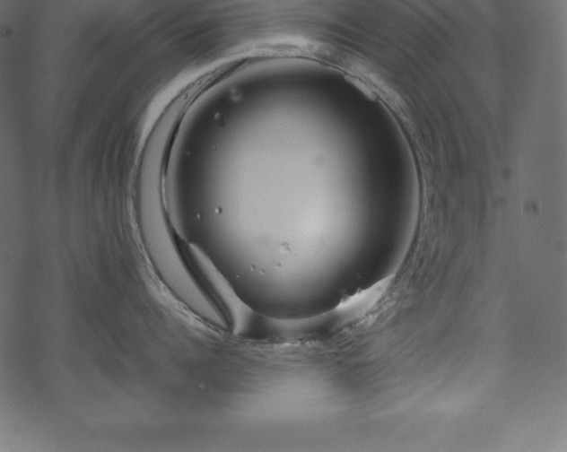 X0000070190960200605301309