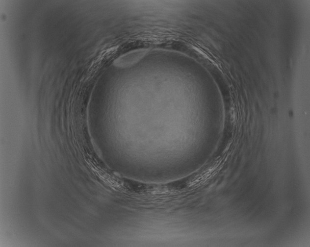 X0000070190961200605301308