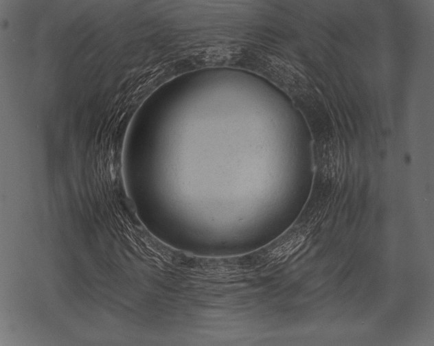 X0000070190962200605301308