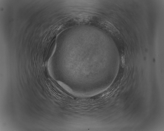 X0000070190963200605301308