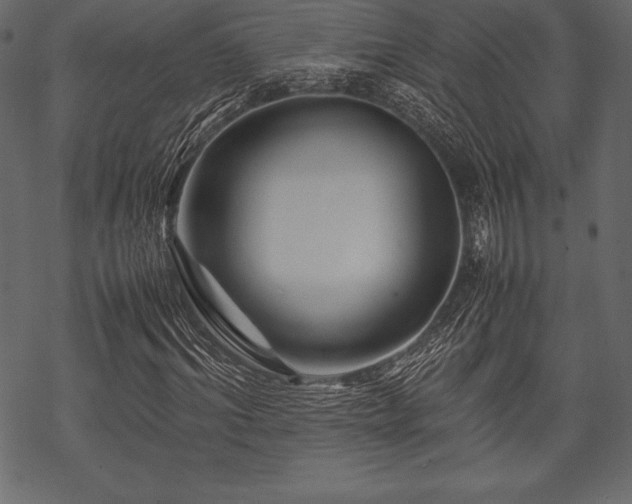 X0000070190964200605301308