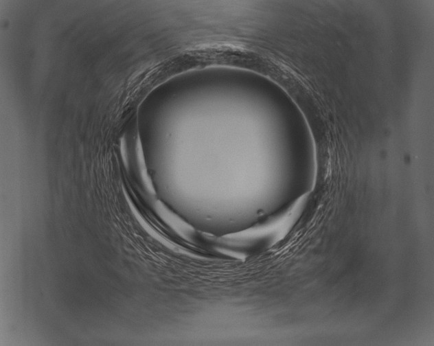 X0000070190965200605301308