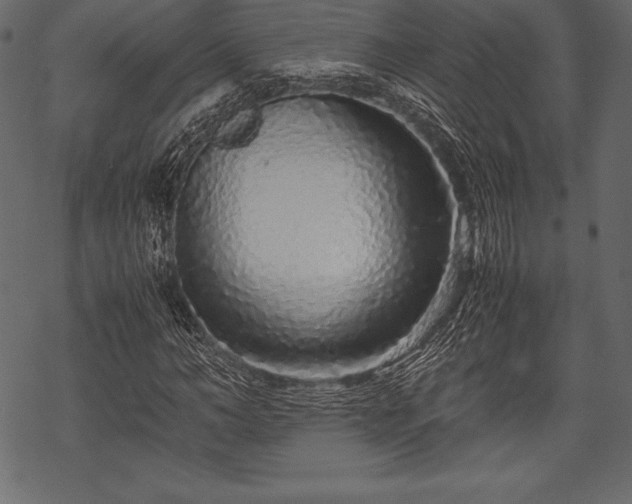 X0000070190966200605301308