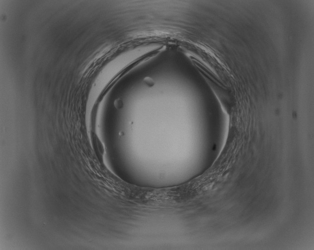 X0000070190967200605301308