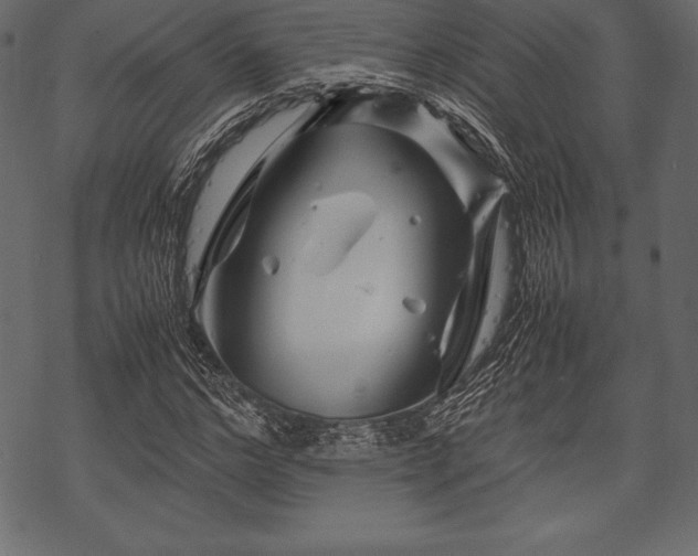 X0000070190968200605301308