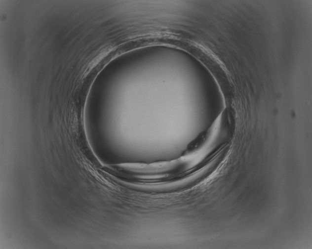 X0000070190969200605301308