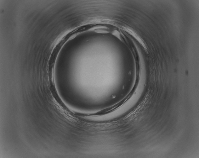 X0000070190972200605301308