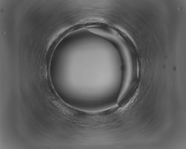 X0000070190973200605301308