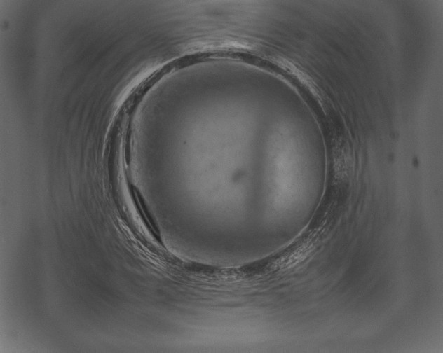 X0000070190975200605301308