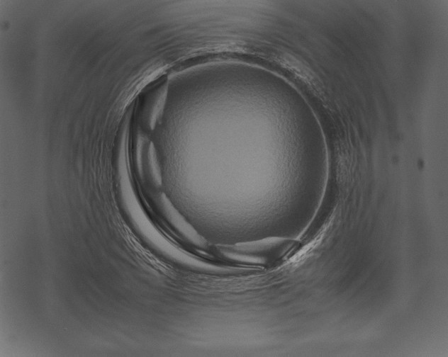 X0000070190977200605301308