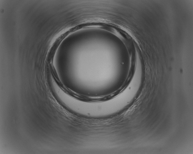 X0000070190979200605301308