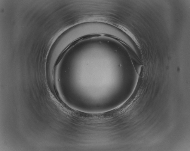 X0000070190980200605301308