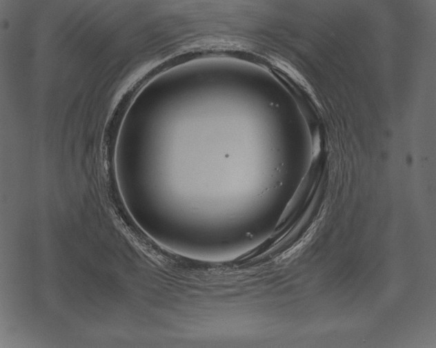 X0000070190981200605301308