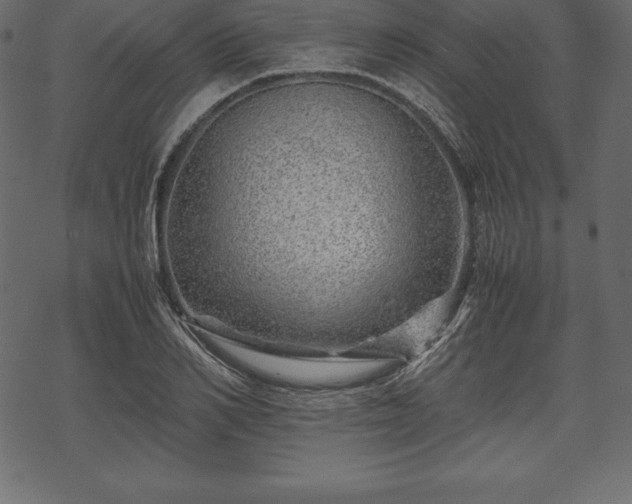 X0000070190982200605301308