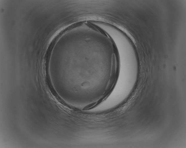 X0000070190983200605301308