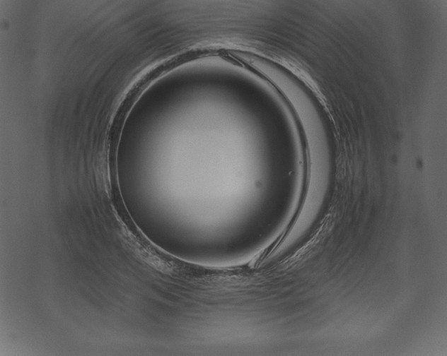 X0000070190984200605301308