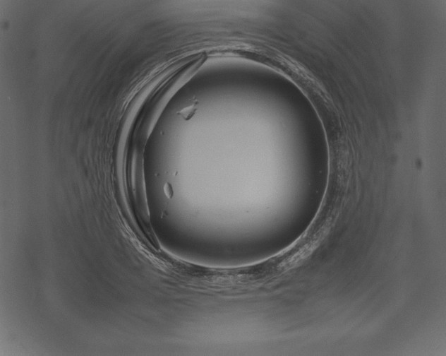 X0000070190985200605301308