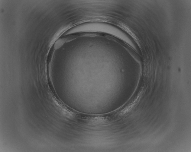 X0000070190986200605301308