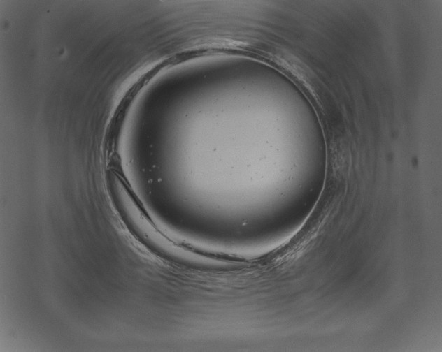 X0000070190987200605301308