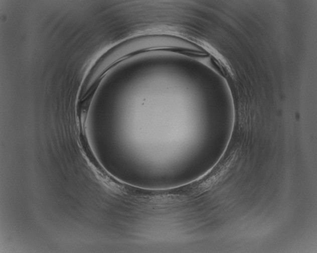 X0000070190988200605301308