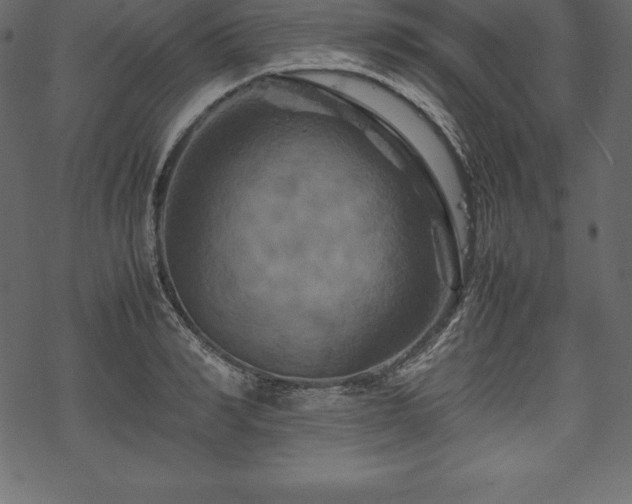 X0000070190990200605301308