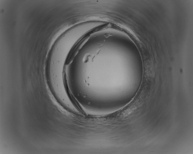 X0000070190991200605301308