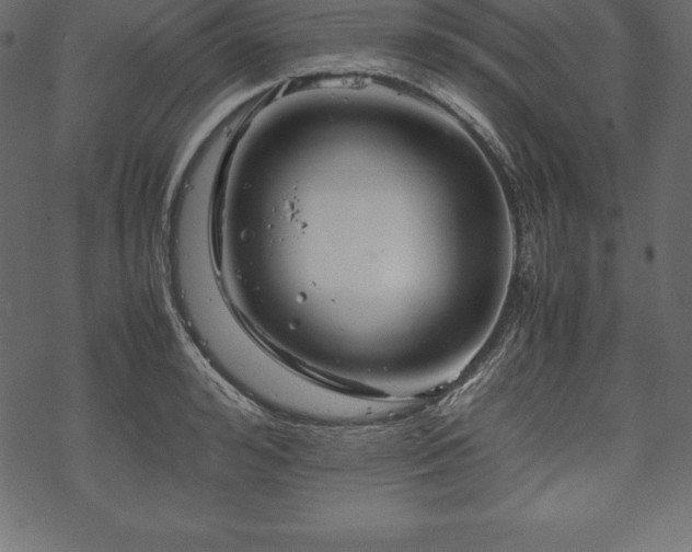 X0000070190992200605301308