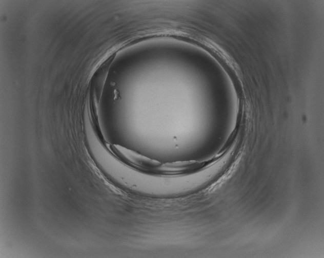 X0000070190993200605301308