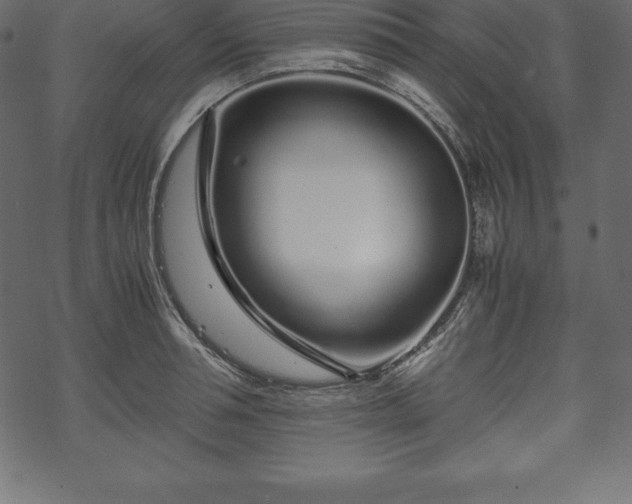 X0000070190994200605301308