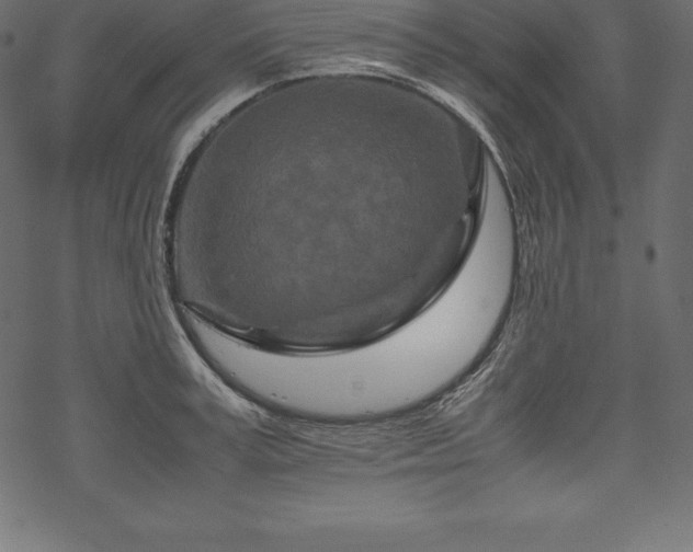 X0000070190995200605301308