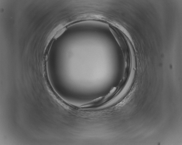 X0000070190997200605301308