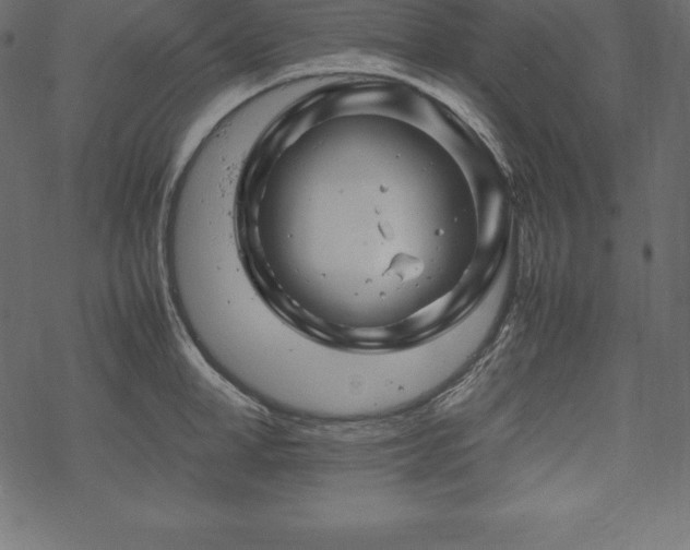 X0000070190998200605301308