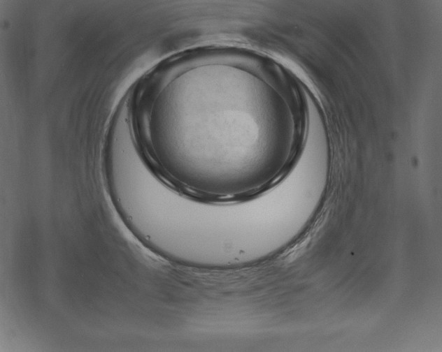 X0000070190999200605301308